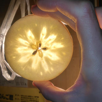 【甘系の最高峰】サンはるか3kg箱 約2.7~3.3kg(9~12玉) 果物/りんご通販