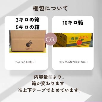 完熟】有田みかん 3キロSサイズ 家庭用 温州みかん 宮川早生 早生