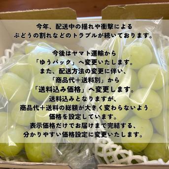 送料込【レアぶどう】ジュエルマスカット おまけ付き山形県産ぶどう