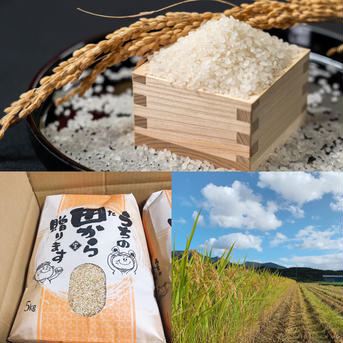 5kg ×2個　 極みのササニシキ　山形県　令和4年度産 10kg(精米は１割目減り) 米・穀物/米/精米通販