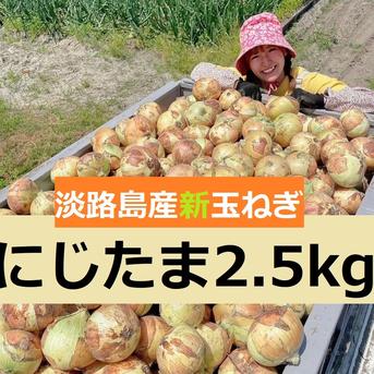 ◎送料込み◎農家直送!!【みずみずしくシャキッと甘い！】淡路島産ブランド新玉ねぎ 『にじたま』極早生 一級品 2.5kg（ご家庭用・8個前後） 使いやすいM・L・2L混在！ 2.5kg（約8個前後） 野菜/玉ねぎ通販