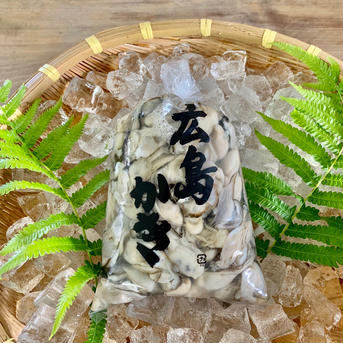 水揚げ即日出荷！　広島県産生牡蠣　むき身　７００g　加熱用 700g 魚介類/牡蠣通販