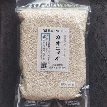 無肥料・自然栽培の長粒もち米 カオニャオ（精白米/R7年産）600g 