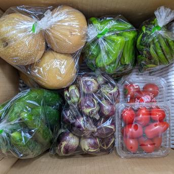 キュウリ、トマト、ナス、ナンバン、ピーマン、梨、ブドウ 5.8kg 野菜/野菜セット・詰め合わせ通販