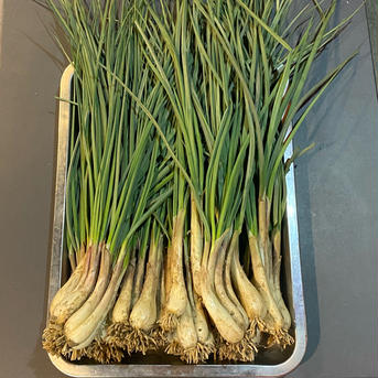 シャキシャキ朝採れ 島らっきょう 島らっきょう2kg 野菜/薬味通販