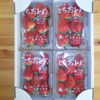 栃木県高根沢町産とちおとめ 4パック✕4箱 果物/いちご通販