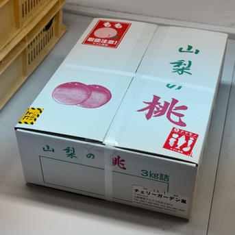 そらのおちり様 家庭用桃3箱 専用ページ 桃『訳あり品』『ご家庭用』品種おまかせ 3kg ｜ 果物/もも 産直アウル