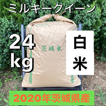 24kg茨城県産ミルキークイーン2020.ver白米 24kg 米・穀物/米/精米通販