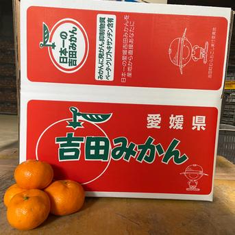 【精品】南柑２０号５kg 5kg 果物/温州みかん通販