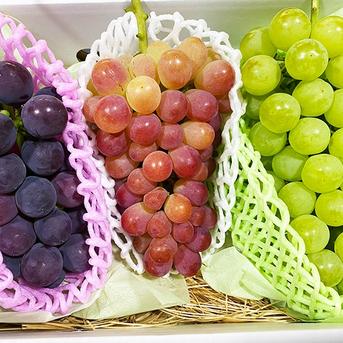贈答用ぶどうセット】岡山県産3色おいしいぶどう詰め合わせ ｜ 果物