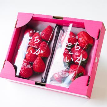 けん様 栃木県産いちご　とちあいか　規格外1.4kgx8箱 大粒!『とちあいか』（300g×2パック）送料シェア実施中！熨斗対応可
