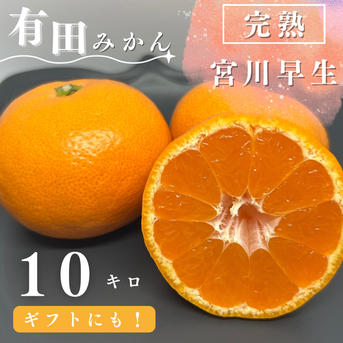 完熟】有田みかん 10キロSサイズ ギフトにも！ 温州みかん 宮川早生