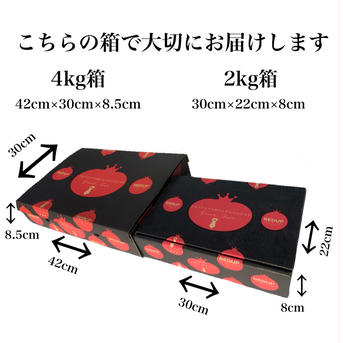 送料込み①食べ出したら止まらない！ソムリエミニトマト　ダイヤ1kg（60玉から90玉） １kg 野菜/トマト通販