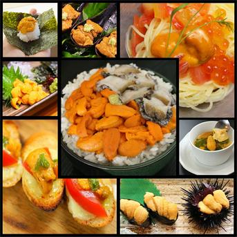 塩水生うに(キタムラサキウニ)100g×5個入 礼文島産 【送料無料】 100g×５個 魚介類/ウニ通販