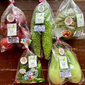 濃甘！野菜セット3種類 農薬・化学肥料不使用♪個包装 3種類 野菜/野菜セット・詰め合わせ通販