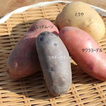 【秋の味覚！】【北海道発】カボチャとじゃがいも3種(3kg) セット 7kg 野菜/かぼちゃ通販