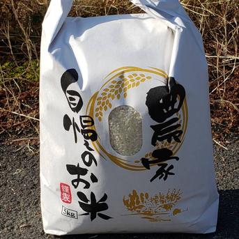 【10kg】令和6年2024年 新米 高知県産コシヒカリ♪ 10kg 米・穀物/米/精米通販