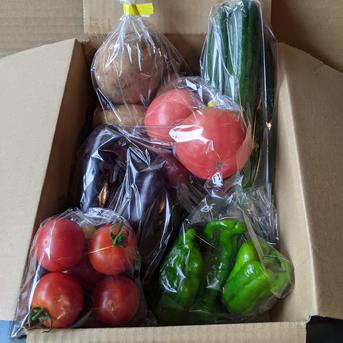 F.O様専用　オクラ&茗荷 5㌔以内 野菜/野菜セット・詰め合わせ通販