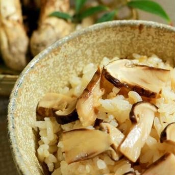 瀬戸内松きのこ小粒サイズ500g入 500g 野菜/きのこ通販