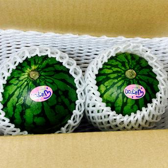 【選果落ち 訳あり商品】 熊本 小玉すいか 2玉 約2Kg Sサイズ以上 規格外 家庭用 贈答不可 加工用 (002)小玉西瓜  熊本県産 果物 フルーツ  2玉 約2Kg Sサイズ以上 果物/スイカ通販