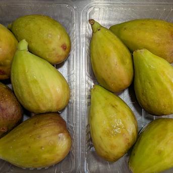 イチジクと野菜のセット イチジク900g、トマト700g、ジャガイモ1.2kg、タマネギ1kg、トウモロコシ800gの詰め合わせです。 野菜/野菜セット・詰め合わせ通販