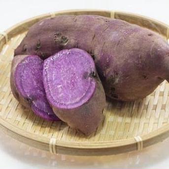 予約販売限定価格 ほくほく甘い【新芋】横浜産 自然栽培 綾紫（あや