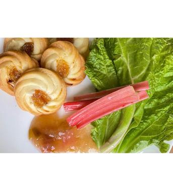 長野県産ルバーブ　箱込み5kg 信州産 フレッシュ ルバーブミックスカラー 5キロ (箱込み) ｜ 野菜