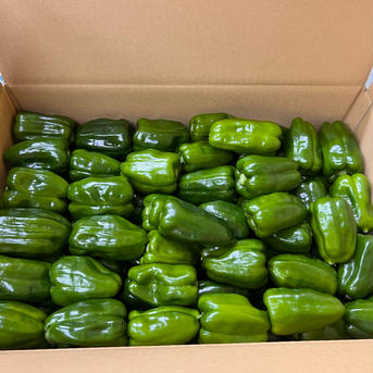 有機ピーマン サイズ混合 3kg 有機JAS (鹿児島県 SOHファーム) 産地直送 3kg 野菜/ピーマン通販