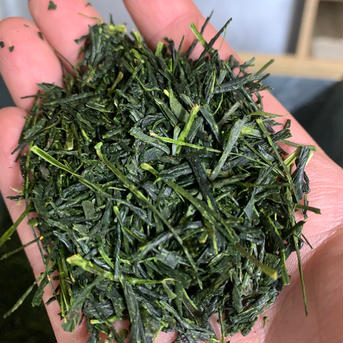 【2024年新茶！】荒茶仕上げでパワフルなお茶の味　やぶきた70g やぶきた　70g×1パック お茶/緑茶通販