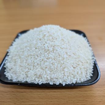 新米コシヒカリ【5kg】【令和7年度産】千葉県南房総市産 ｜ 米 