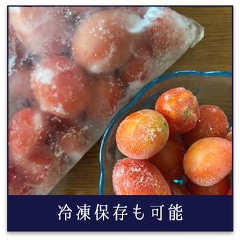【常温便のためお値下げ】加熱調理専用だしとまと3.5kg 3.5kg 野菜/トマト通販