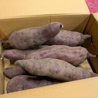 北海道産 さつまいも「紅あずま」大きめサイズ 4kg | 野菜