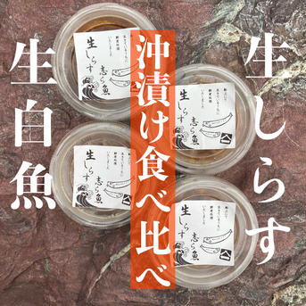 【生食べ比べ】生シラウオと生しらすの沖漬けセット沖しらす4P沖白魚4P 沖しらす4P沖白魚4P 魚介類/魚介の加工品通販