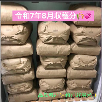 新米 残り僅か  令和4年 マンゲツモチ 玄米30kg　美味保証　一軒の農家生産 新米 残り僅か 令和4年 マンゲツモチ 玄米30kg 美味保証 一軒の農家