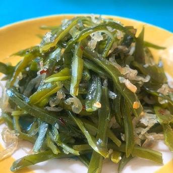 茎わかめ400g×5袋 ｜ 魚介類/海藻 産直アウル 農家・漁師など生産者