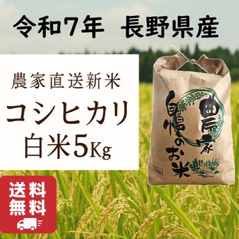 令和7年コシヒカリ　　農家販売 6周年限定】【白米】コシヒカリ 5Kg 送料無料 令和7年 長野県産 新米