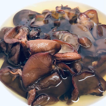 《お試し 年末年始のお料理に》高知県仁淀川町産 黒木耳ホールタイプ25g×1袋 スライス25g×1袋(計2点) 黒きくらげ「ホールタイプ25g×1袋 」「スライスタイプ25g×1袋」 野菜/野菜セット・詰め合わせ通販