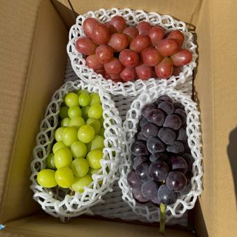 ☆信州のぶどうを食べ比べ☆ 長野県オリジナル品種クイーン