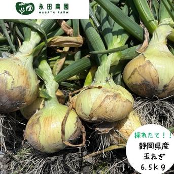 永田農園の玉ねぎ 6.5キロ ｜ 野菜/玉ねぎ 産直アウル 農家・漁師など