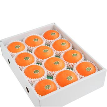 仕入れ成功‼️きたー‼️超高級柑橘プリンセスをボリューム約10kで6980円‼️23 Amazon.co.jp: 【 紅まどんな & 甘平の愛娘 】紅プリンセス／愛媛果試