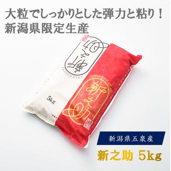 令和7年産 新之助 精米5kg ｜ 米・穀物/米/精米 産直アウル 農家