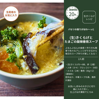 【11月末迄の出荷で本年度終了】高知県仁淀川町産｜生きくらげ2kg(500g×4P) 2kg(500g×4パック) 野菜/きのこ通販