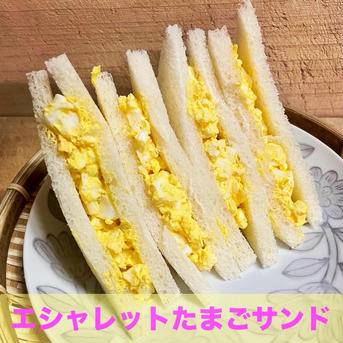 土付きエシャレット500g 農薬・化学肥料不使用【鮮度保持】 白500g 野菜/その他野菜通販