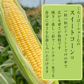 【初夏の贈り物】朝摘みゴールドラッシュ〈特選12本 常温便〉7月分 常温12本 野菜/とうもろこし通販