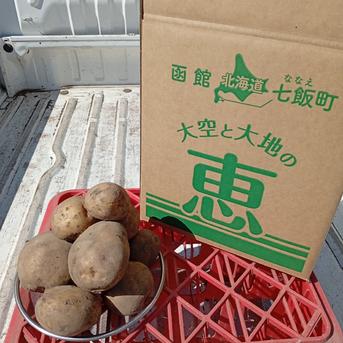 新じゃが】きたかむい 4.5kg（M〜2Lサイズ混合） ｜ 野菜/じゃがいも