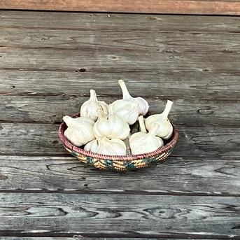 自然栽培　乾燥にんにく　箱込５kg 4700g 野菜/にんにく通販