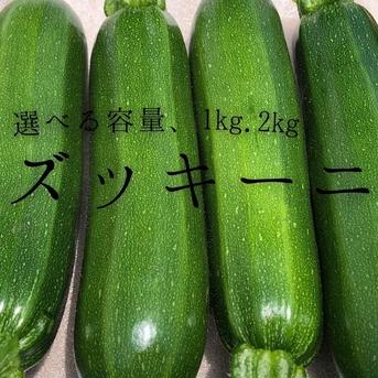 大活躍 ズッキーニ 送料込み 選べる容量 愛情いっぱい 保存袋付き 約1ｋｇ（5本～8本） 約1ｋｇ（5本～8本） 野菜/ズッキーニ通販
