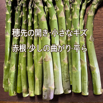 得々!!ご家庭用に！M〜2Lサイズ ２kg 富良野からとれたて直送]露地グリーンアスパラ やわらかくて抜群に甘い！ アスパラ2kg 野菜/アスパラガス通販