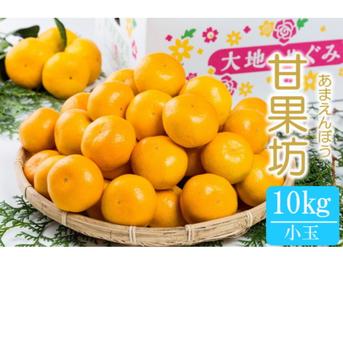 おおのこ農園の極早生訳アリみかん10㌔ 10キロ 果物/温州みかん通販