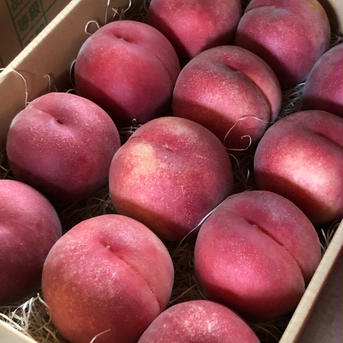 もぎたて桃★長野県産 川中島白鳳★良品❣️農家直送❣️ 桃6~8個 果物/もも通販